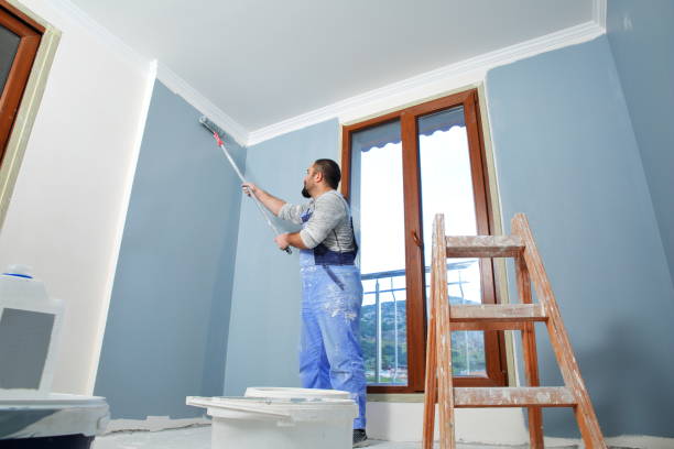 Professional Mold Removal in Parole, MD