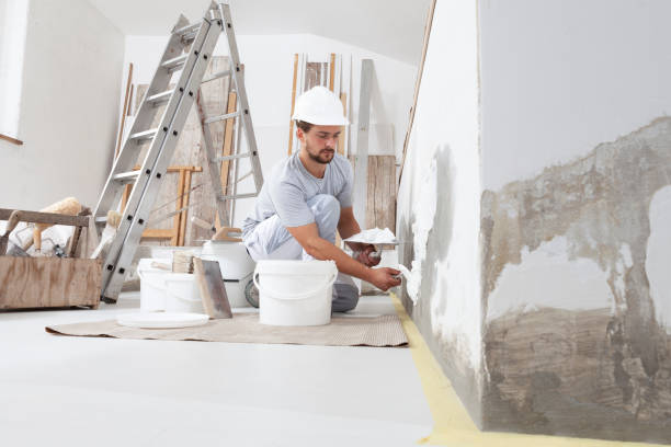 Best Mold-Related Health Consultation  in Parole, MD