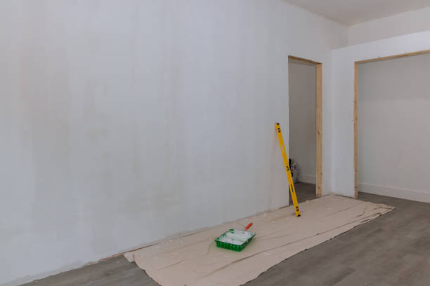 Best Mold Odor Removal Services  in Parole, MD