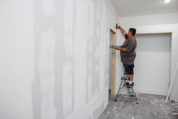 Forensic Mold Investigation in Parole, MD