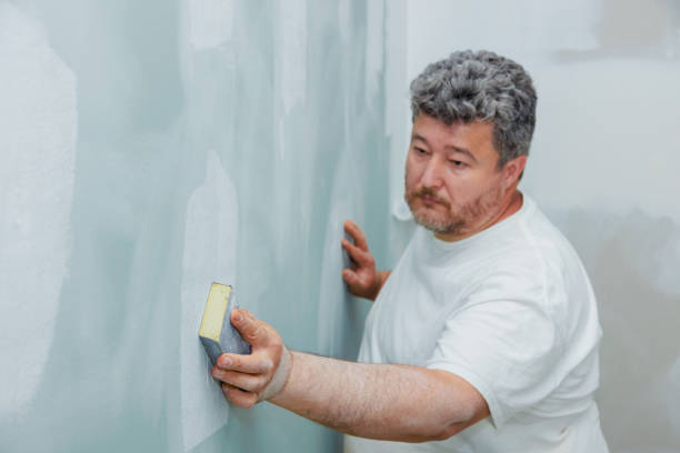 Best Basement Mold Removal  in Parole, MD