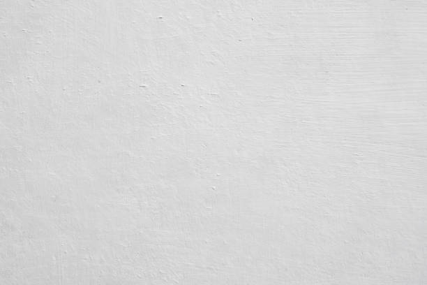 Mold Documentation for Insurance Claims in Parole, MD