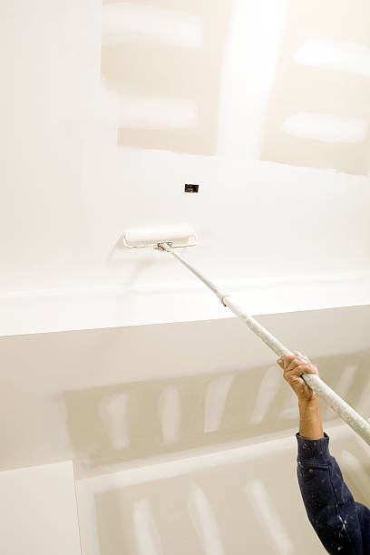 Best Forensic Mold Investigation  in Parole, MD