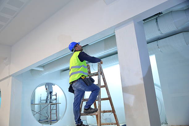 Biohazard Mold Removal in Parole, MD