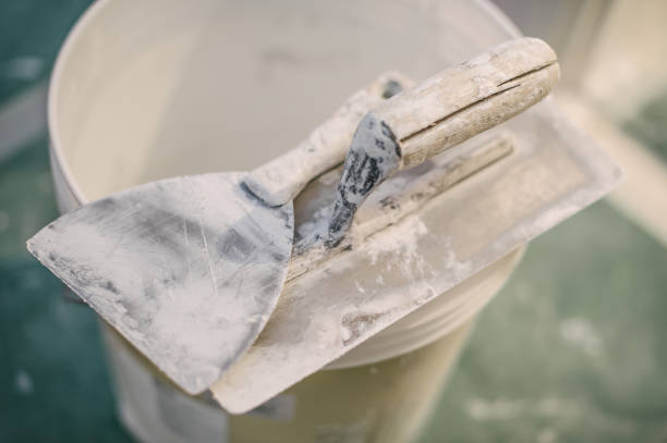 Best Air Quality Testing for Mold Spores  in Parole, MD
